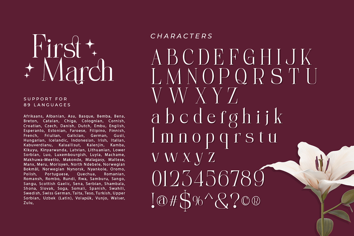 First March, a Serif Font by Nathatype (Photo 9 of 10)