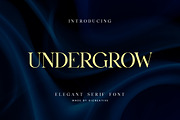 Undergrow Elegant Serif Font, a Serif Font by UICreative (Thumbnail 1 of 13)