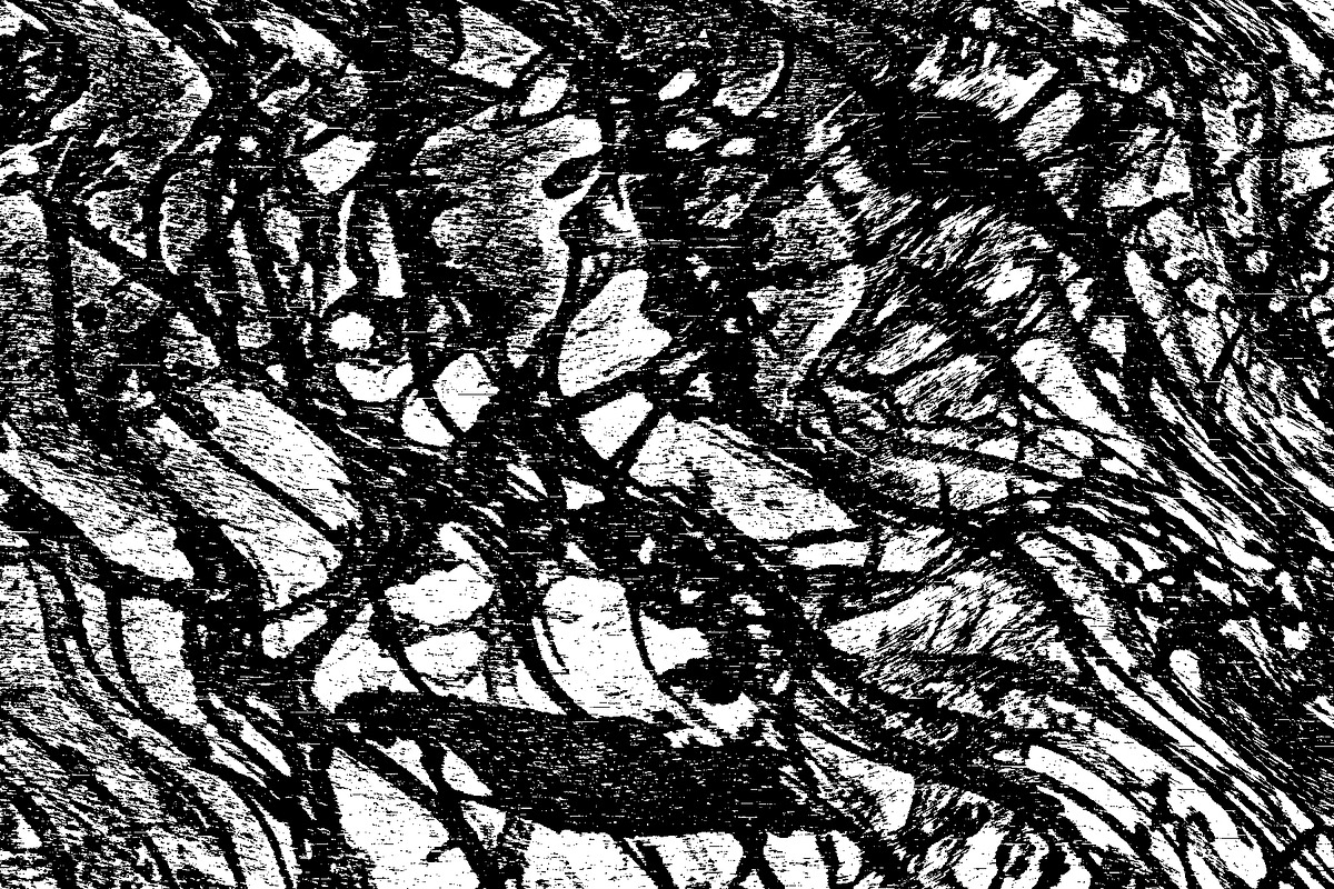 Lilliputian, a Texture Graphic by Jennifer Lauren Creative (Photo 17 of 28)