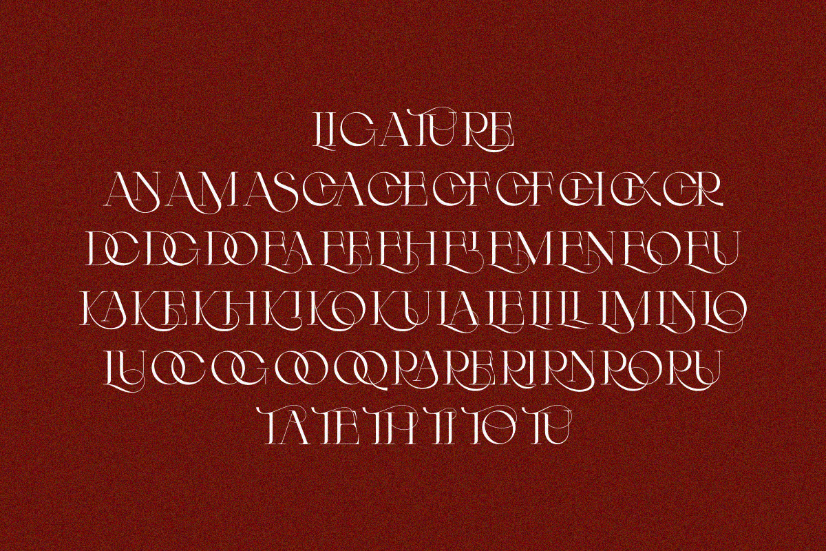 Arneta, a Serif Font by zaaintype (Photo 5 of 11)