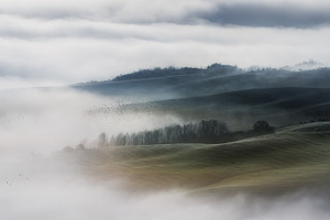 Fog on the valley fields val d'orcia stock photo containing agriculture and
