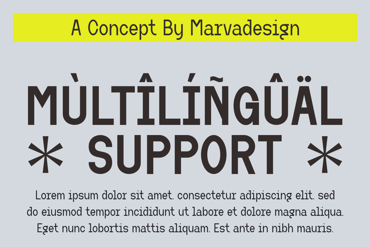Boliand - A Modern Monospace Font, a Sans Serif Font by Marvadesign (Photo 5 of 7)