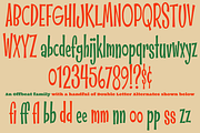 Whipsnapper Extra Condensed Family, a Font by Pink Broccoli (Thumbnail 3 of 3)