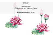 Watercolor Water Lily, an Object Graphic by YuMyart (Thumbnail 2 of 5)