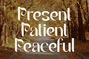 Agasiz - Modern Display Font, a Sans Serif Font by PutraCetol Studio (Thumbnail 3 of 11)