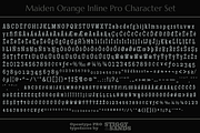 Maiden Orange Inline Pro, a Slab Serif Font by Stiggy & Sands (Thumbnail 5 of 5)