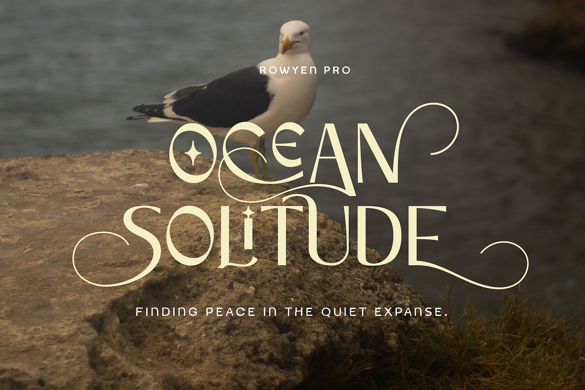 Rowyen – Sans Serif Font, a Sans Serif Font by NDNL Studio (Photo 5 of 8)