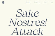 Renly Pixel, a Serif Font by Craft Supply Co. (Thumbnail 2 of 8)