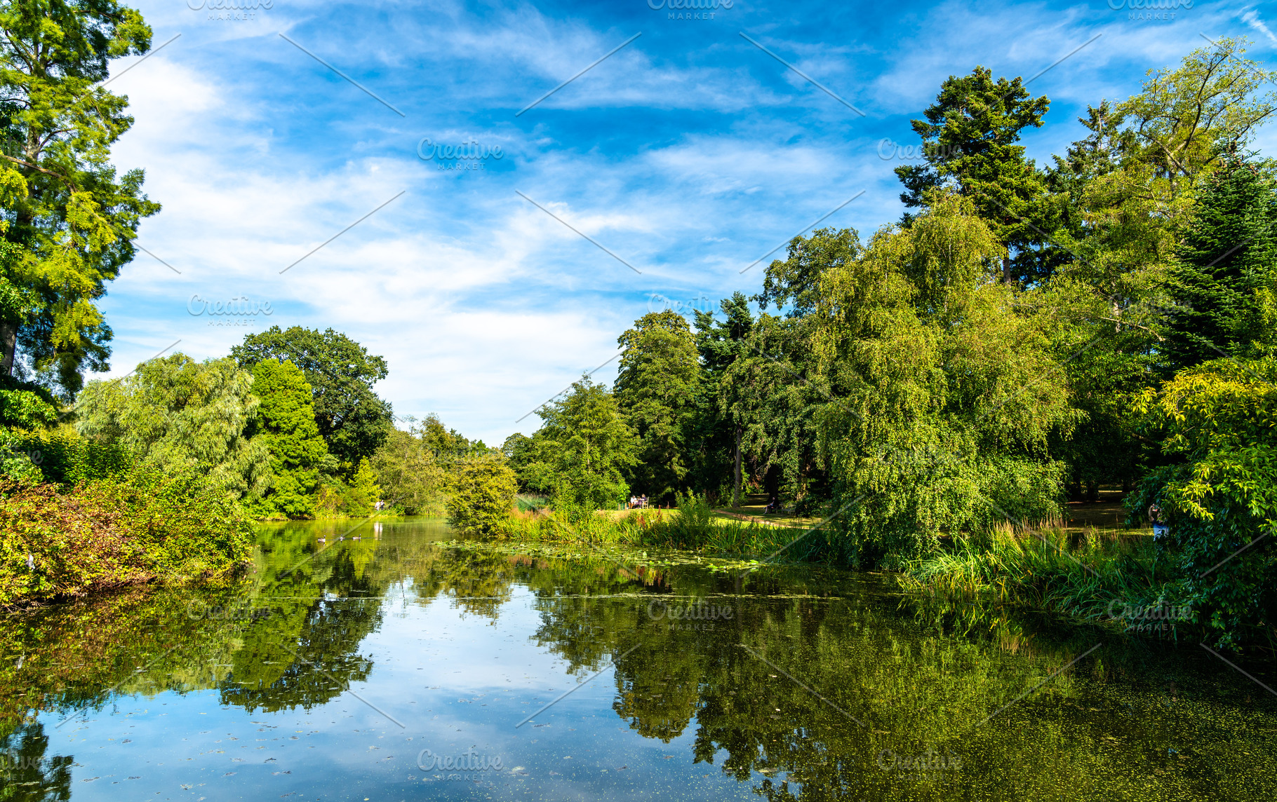 Lake at Kew Botanic Gardens in Londo, a Nature Photo by Leonid Andronov