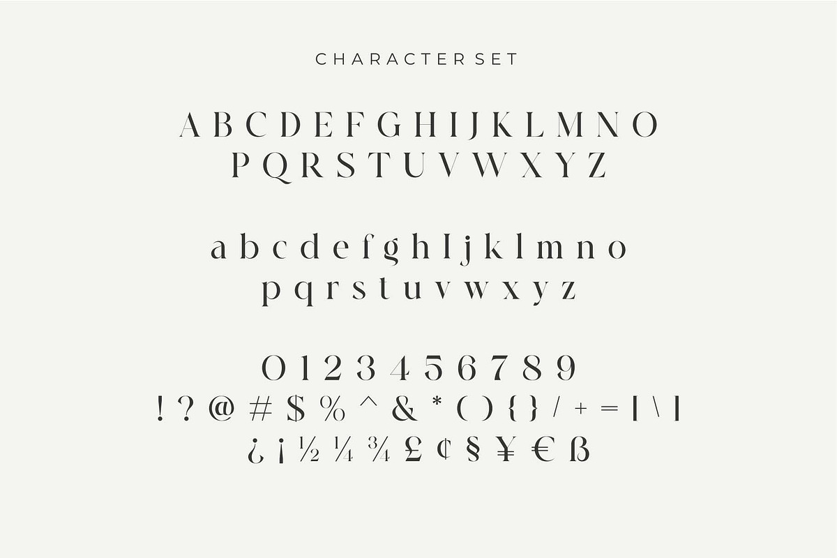 Cerost Modern Ligature Typeface, a Serif Font by Dylla_studio (Photo 13 of 14)