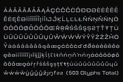 Prolinea Family | Intro 75% OFF, a Sans Serif Font by Lettertype Studio (Thumbnail 9 of 15)
