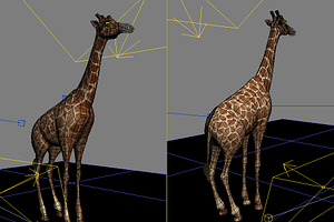 HD_GIRAFFE