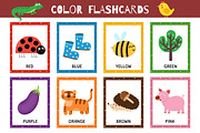 Flashcards for Kids Bundle: 570 in 1, an Education Illustration by Gulnara Sabirova (Thumbnail 41 of 48)