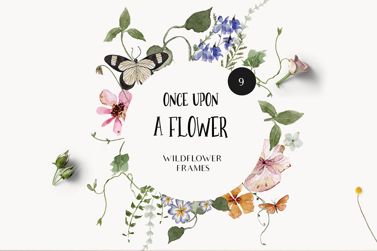 Meadow watercolor dried wildflowers, a Decorative Illustration by Grace Noboa Illustrations (Photo 3 of 13)
