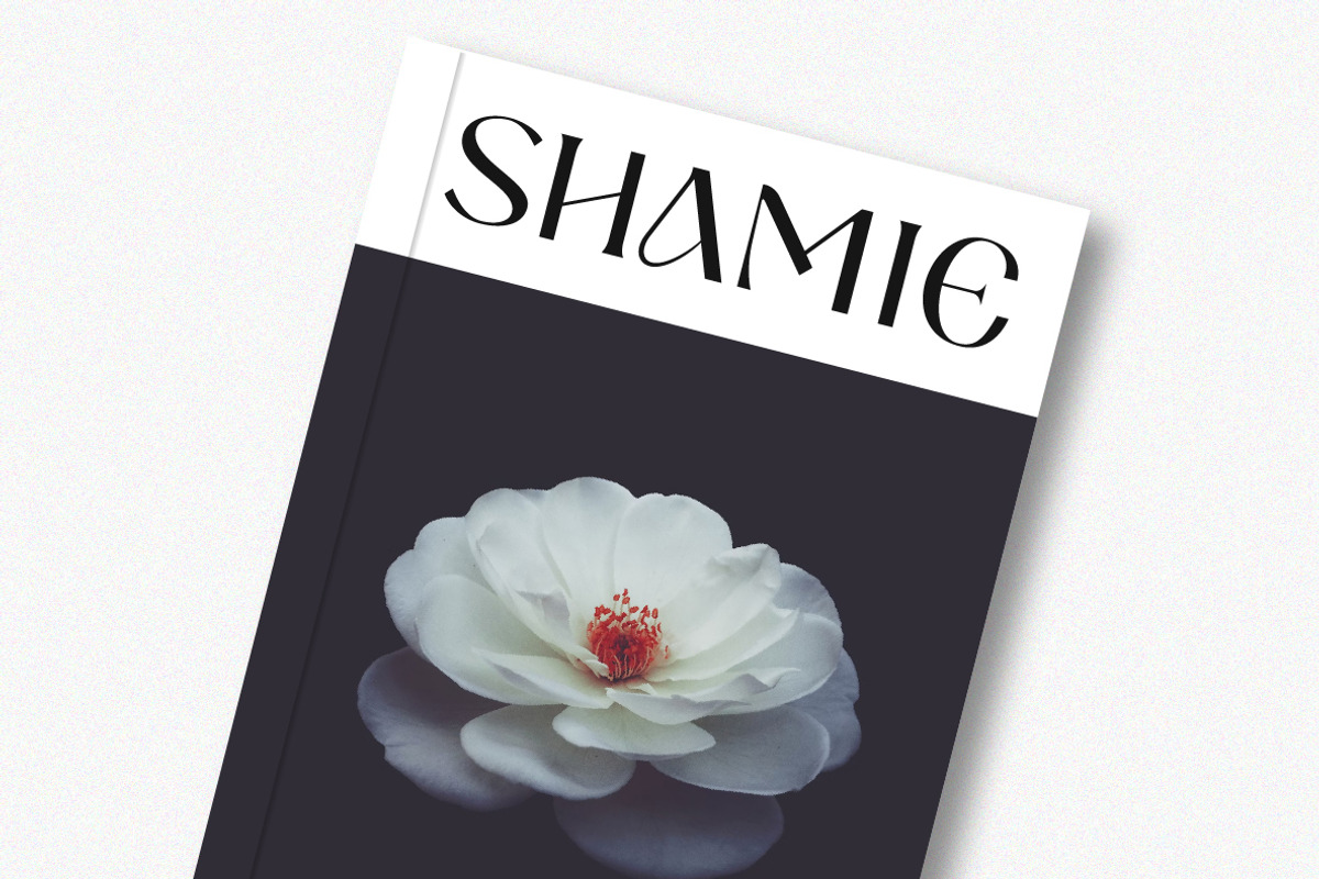 Kasepi Sans Display Fonts, a Sans Serif Font by Yukita Creative (Photo 7 of 12)