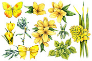 Floral and decor set (yellow color), a Decorative Illustration by Color and Decor (Thumbnail 2 of 5)