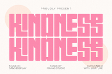 Kindness - Modern Sans Display Font