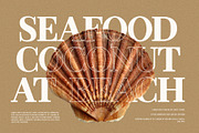 North Elegant Serif Font, a Serif Font by Perfectype (Thumbnail 6 of 10)