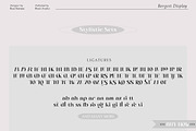 Borgest Display, a Serif Font by Black Studio (Thumbnail 6 of 15)