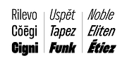 Nerissimo, a Sans Serif Font by Synthview Type Design (Thumbnail 4 of 10)