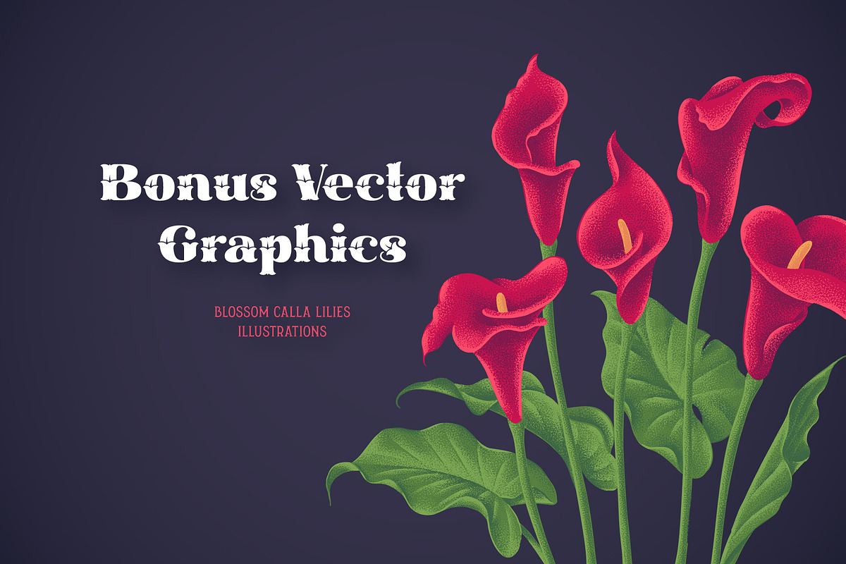 Cally Font & Graphics, a Serif Font by Gleb Guralnyk