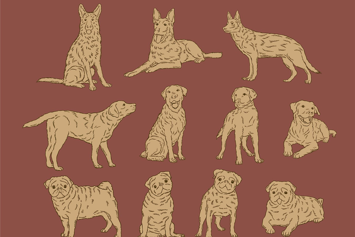 Dogs Graphic Collection, an Illustration by Ben studio (Photo 2 of 3)