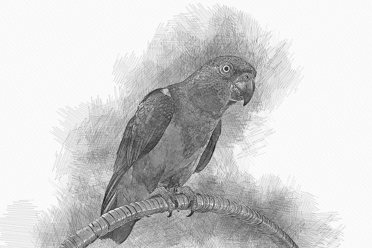 Photoshop Photo Art Effect, an Action Add-On by Photoshop Action (Photo 18 of 18)