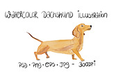Dachshund Dog Illustration, an Illustration by Foxery Digital (Thumbnail 1 of 5)