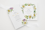 Watercolor Daffodils and Saffron, a Decorative Illustration by Elena Medvedeva (Thumbnail 7 of 8)