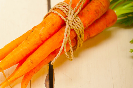 baby carrots bunch tied with rope, a Food & Drink Photo by keko64