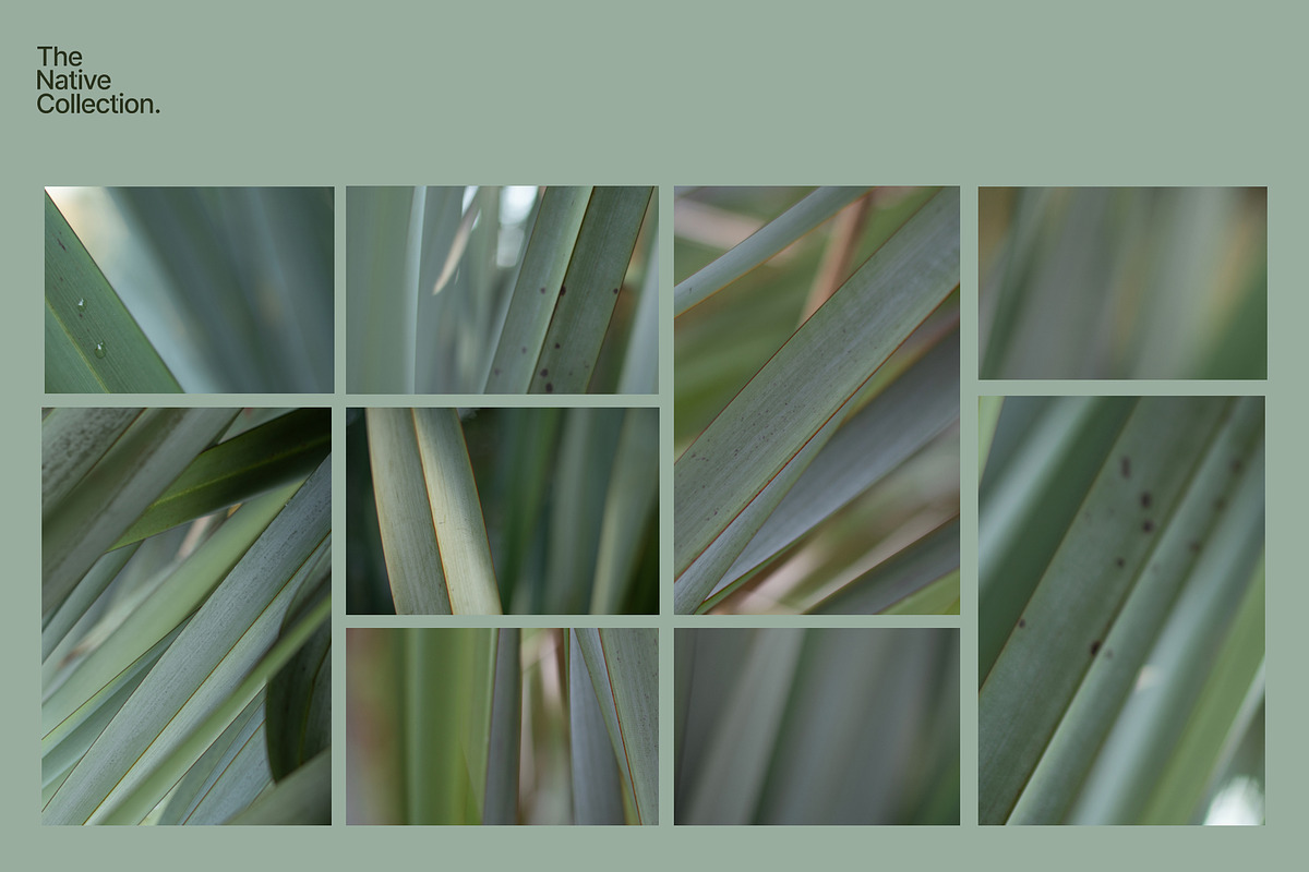 Natural textures - Green edition v03, a Texture Graphic by Haehae photography (Photo 4 of 8)