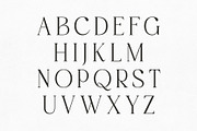 Polais – Modern Luxury Serif, a Serif Font by HipFonts (Thumbnail 3 of 9)