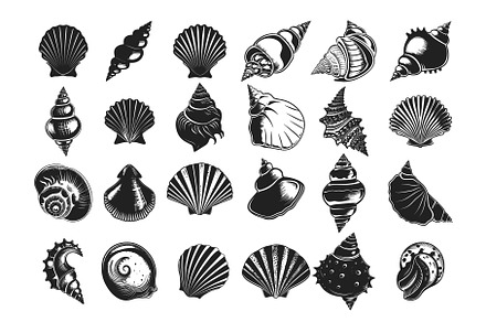 Ocean shell black ink vector, an Animal Illustration by Stock-Smart-Start