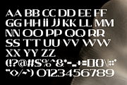 Crypton - A Unique Display Font, a Serif Font by overlaytemplates (Thumbnail 4 of 5)