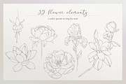 Blossom - floral line art, an Illustration by Anna.Klets (Thumbnail 4 of 14)