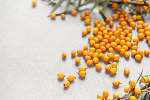 Sea buckthorn berries scattered on gray background, a Food & Drink Photo by Olena Rudo