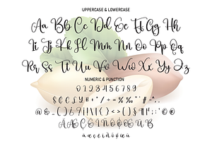 Peanut Script Font