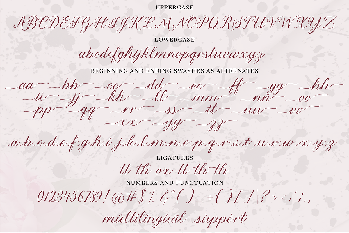 Les Fleurs Script preview 7