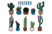 Vector Cacti and Succulents, a Decorative Illustration by 5August Art (Thumbnail 2 of 7)