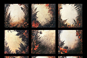 Prehistoric Botanical Frames, a Background Graphic by pictures for you (Thumbnail 7 of 13)