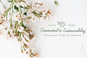 Secret Garden | Classic Font Duo, a Script Font by ElleMarieCalligraphy (Thumbnail 13 of 21)