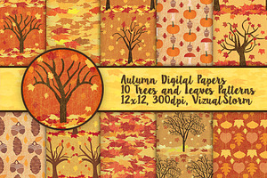 Fall Foliage Autumn Patterns