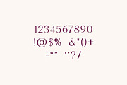 Ignacio Maverick Elegant Serif Font, a Serif Font by UICreative (Thumbnail 12 of 13)
