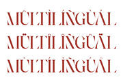 Yosshi - Stencil Serif Font, a Serif Font by AnnofaType (Thumbnail 7 of 10)
