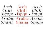 Milghera Serif, a Serif Font by IM Studio (Thumbnail 5 of 12)