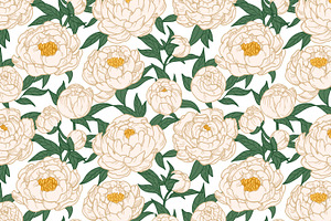 Peonies, Floral Seamless Patterns