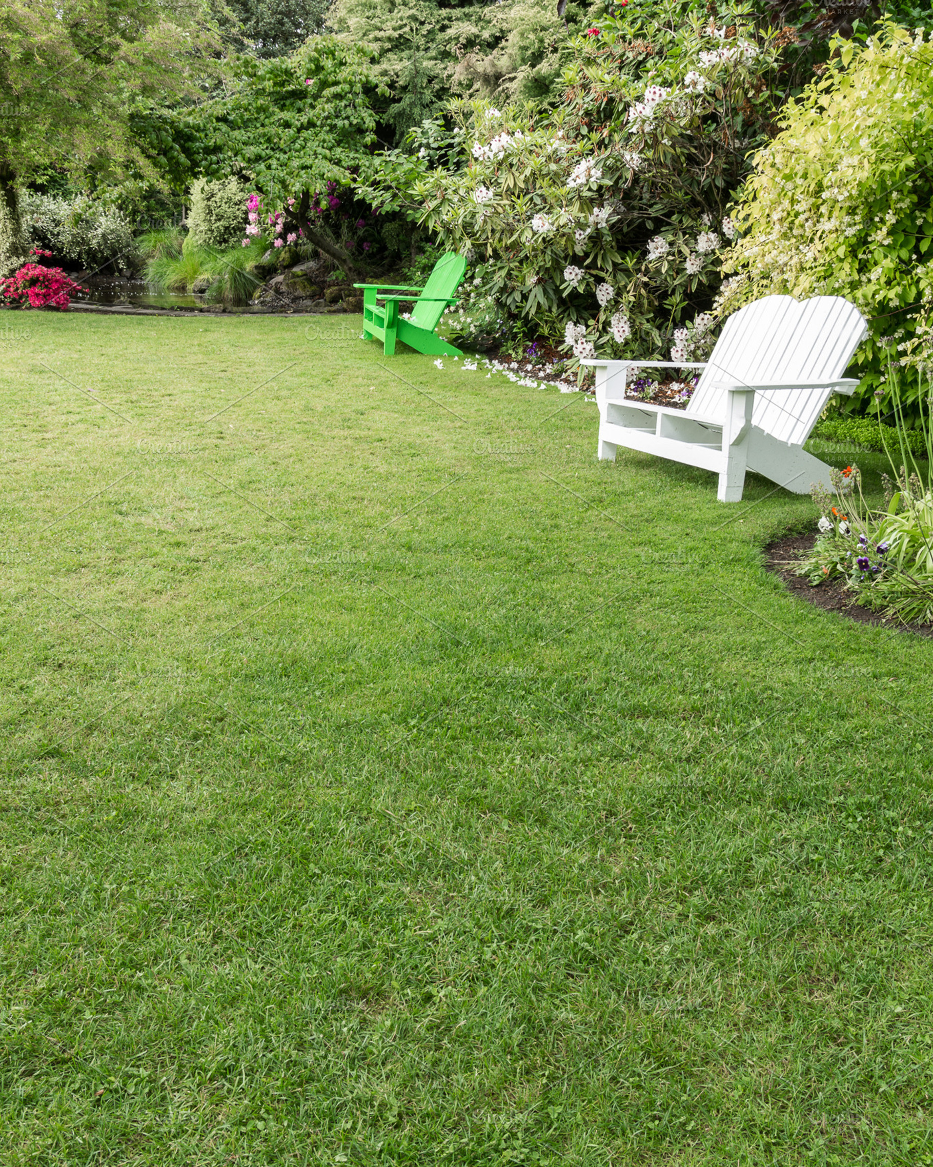 Green Lawn With Flowers
