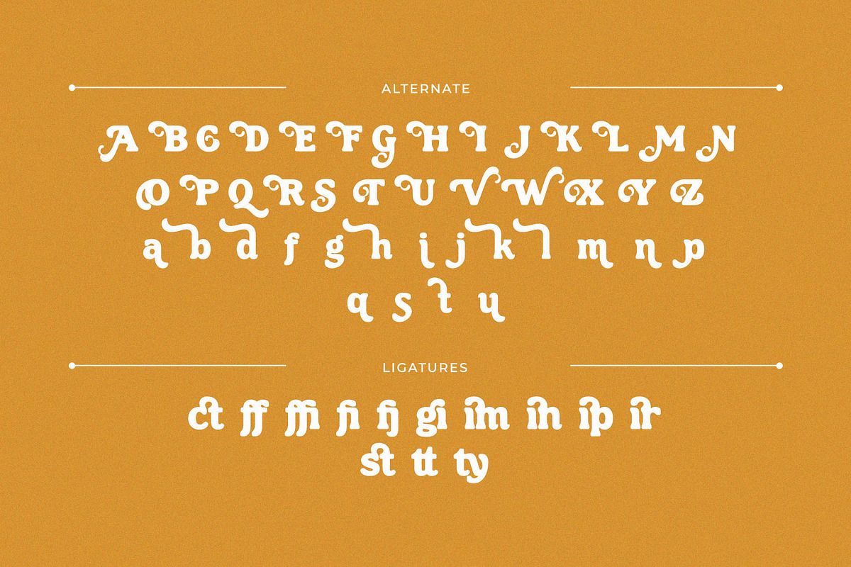 Jeikinsa – Retro Display Serif Font, a Serif Font by BrandSemut (Photo 10 of 10)
