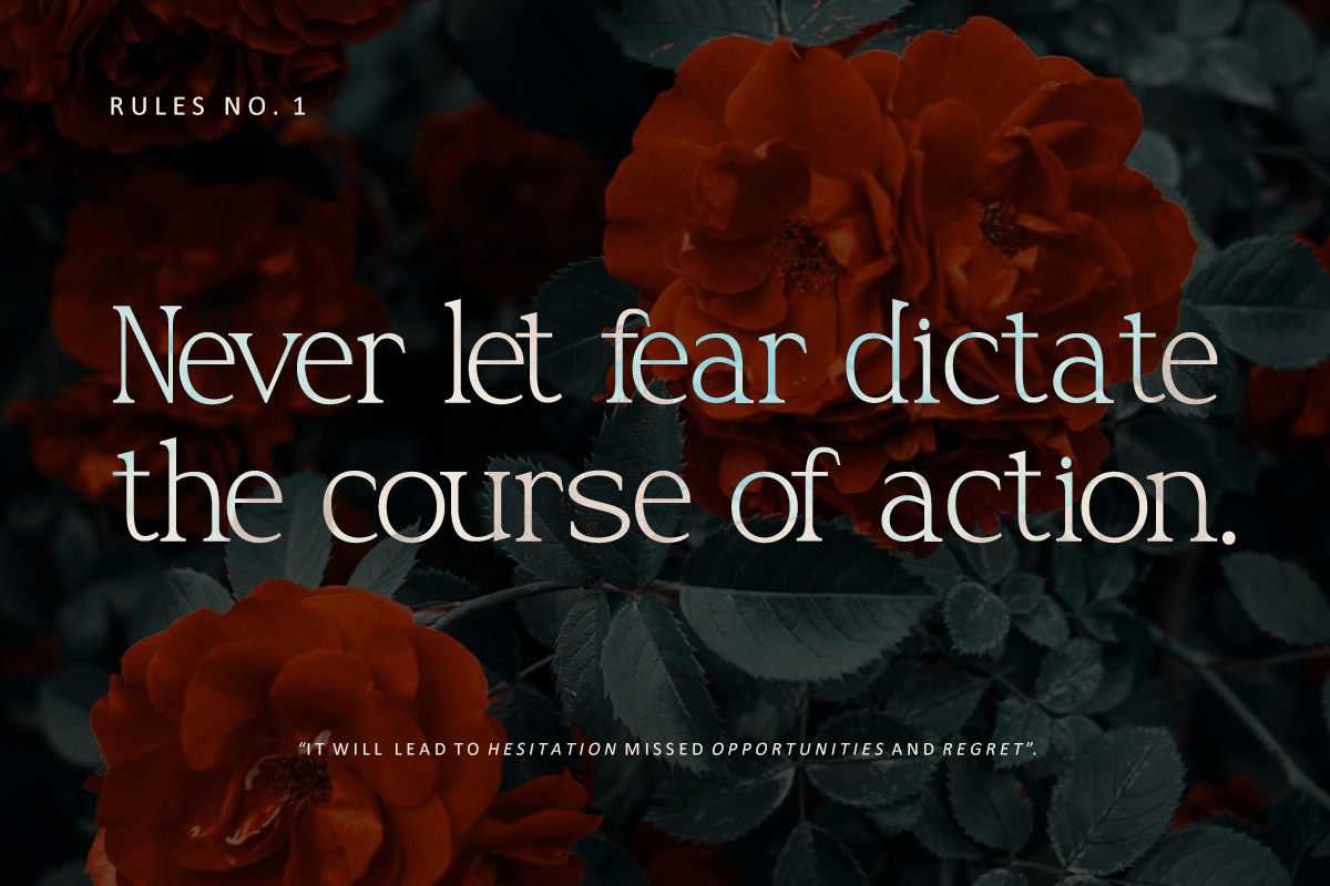 Rohelise - Modern Classic Serif, a Serif Font by Vadovastd (Photo 4 of 8)