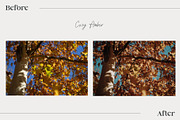 15 Autumn Inspired Lightroom Presets, a Preset Add-On by HipFonts (Thumbnail 6 of 10)